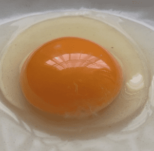 玉子を割った様子